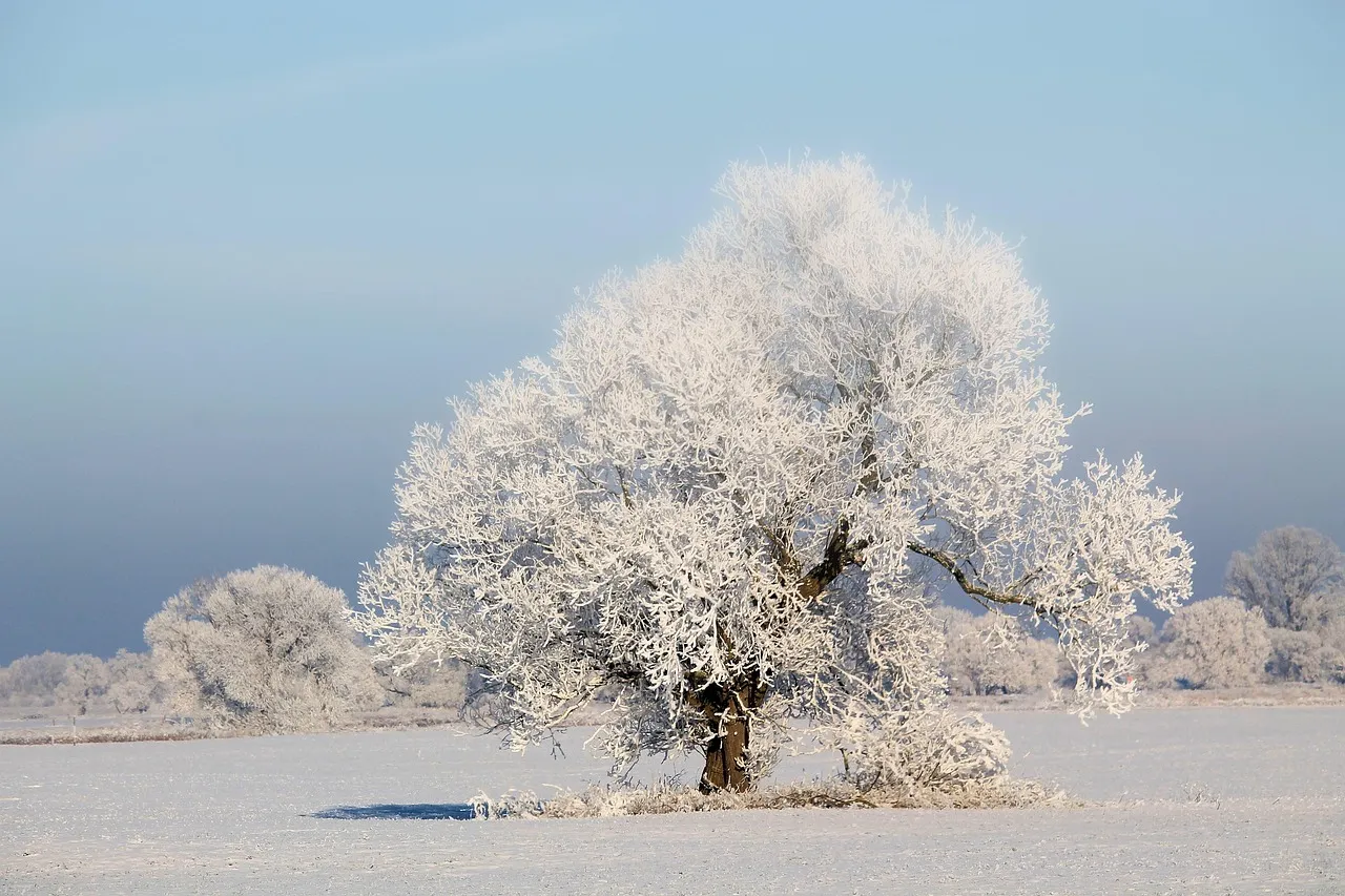 winter quotes