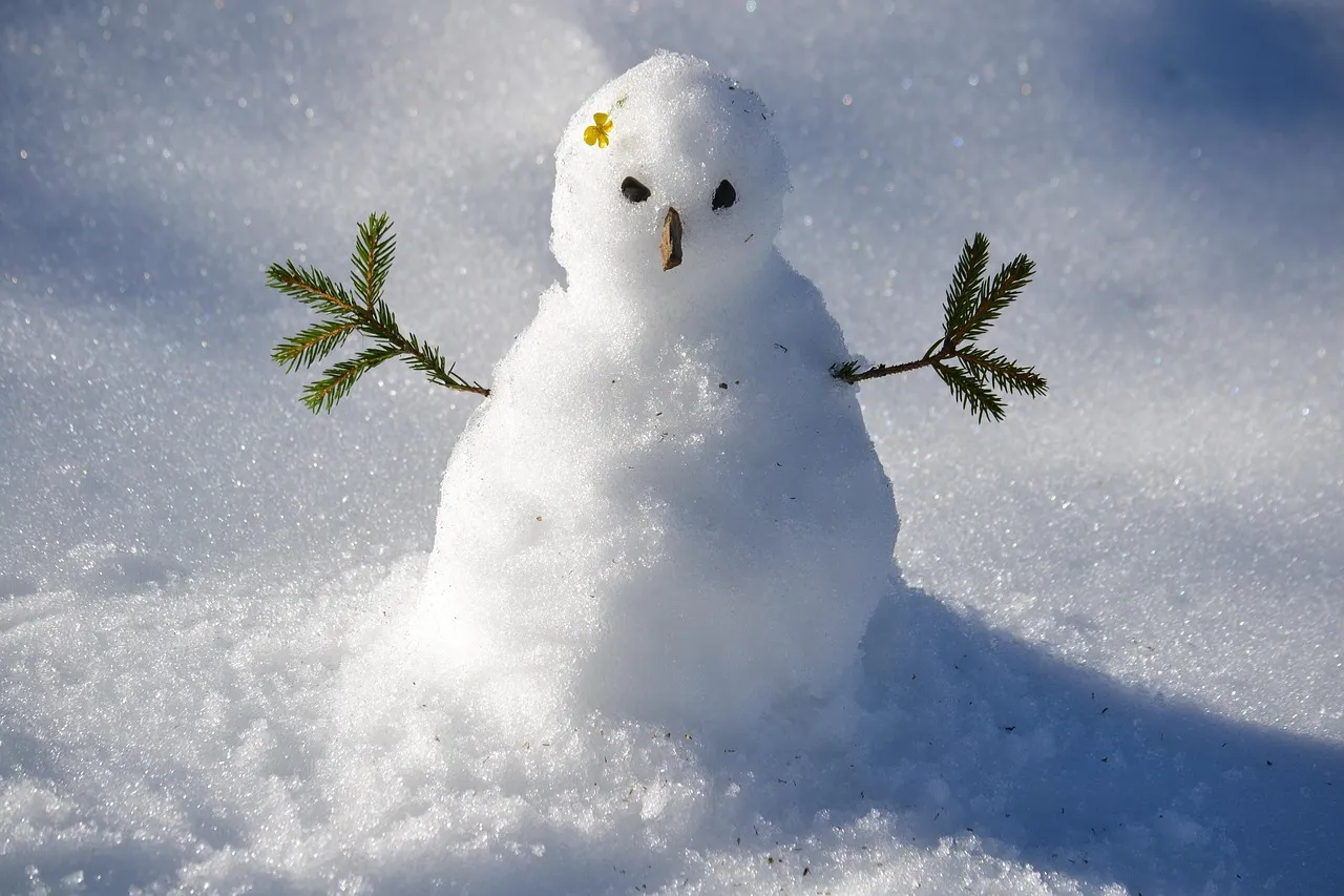 winter quote Elizabeth Camden
