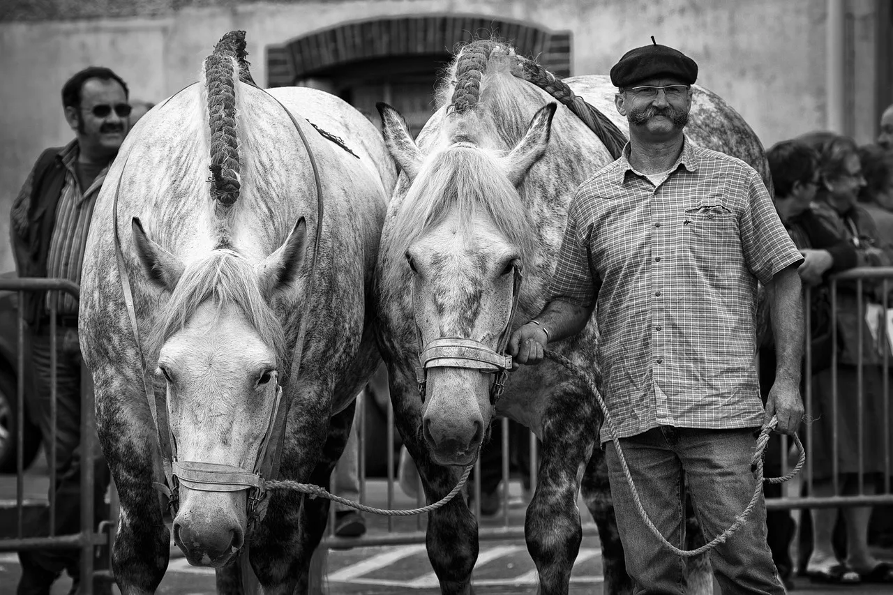 Bridle Up Hope