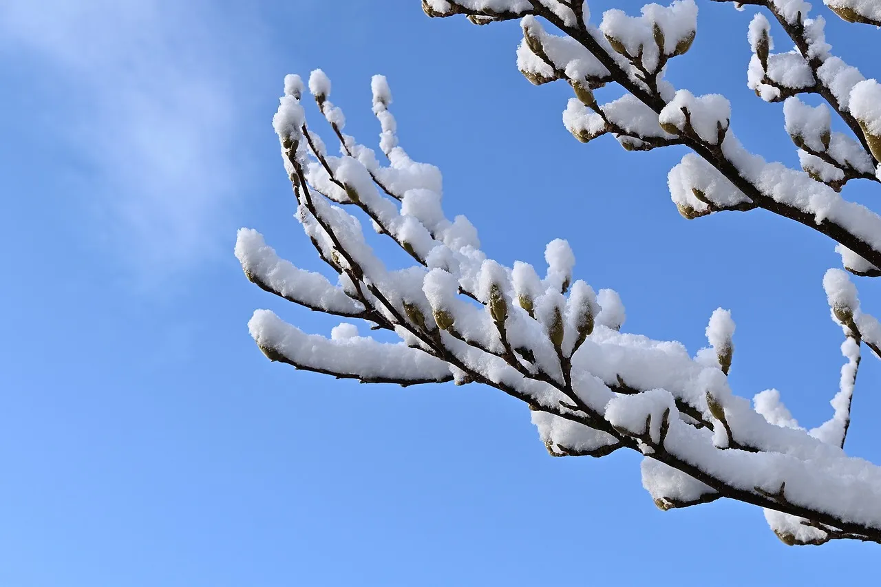 winter quote Andy Goldsworthy