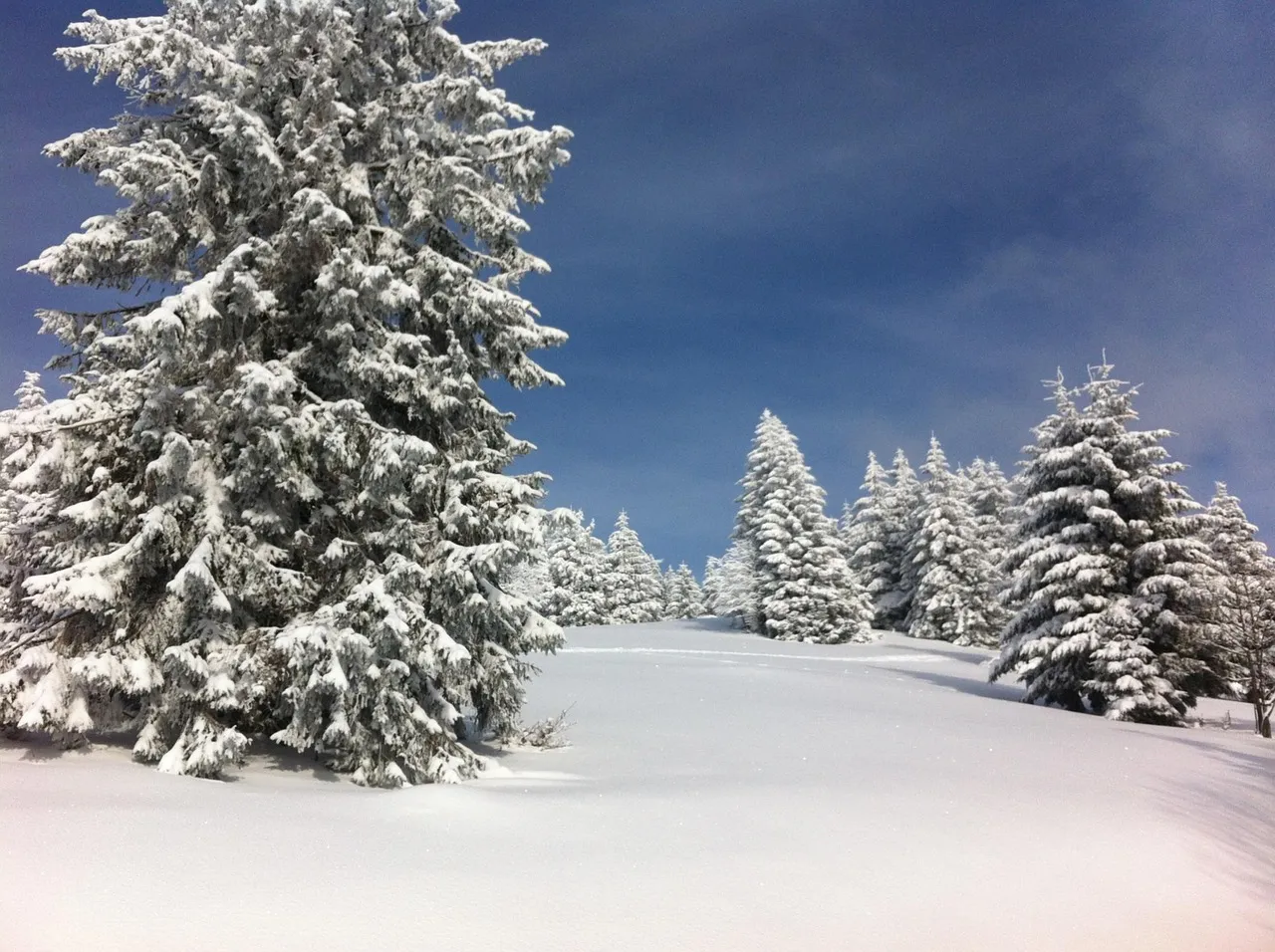 winter quote Terri Guillements