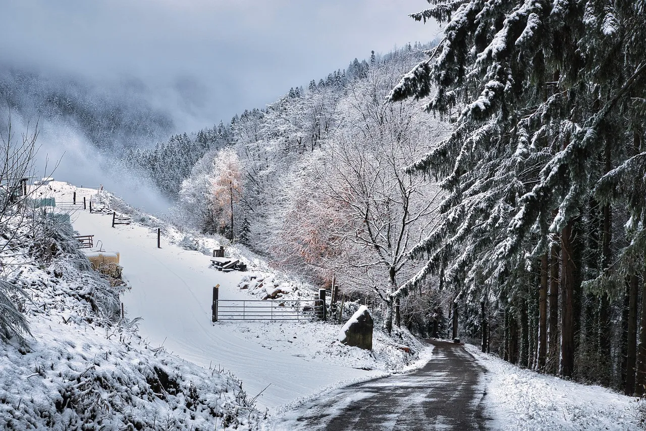 winter quote Anamika Mishra
