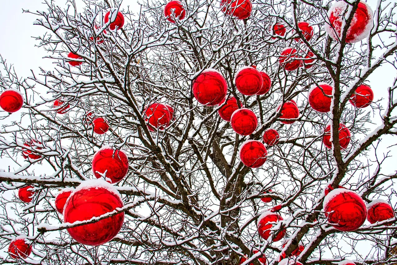winter quote John Borroughs