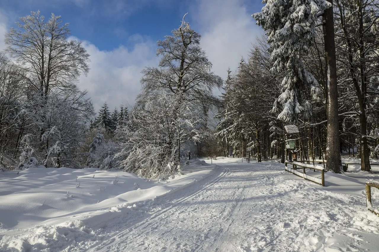 winter quote John Steinbeck