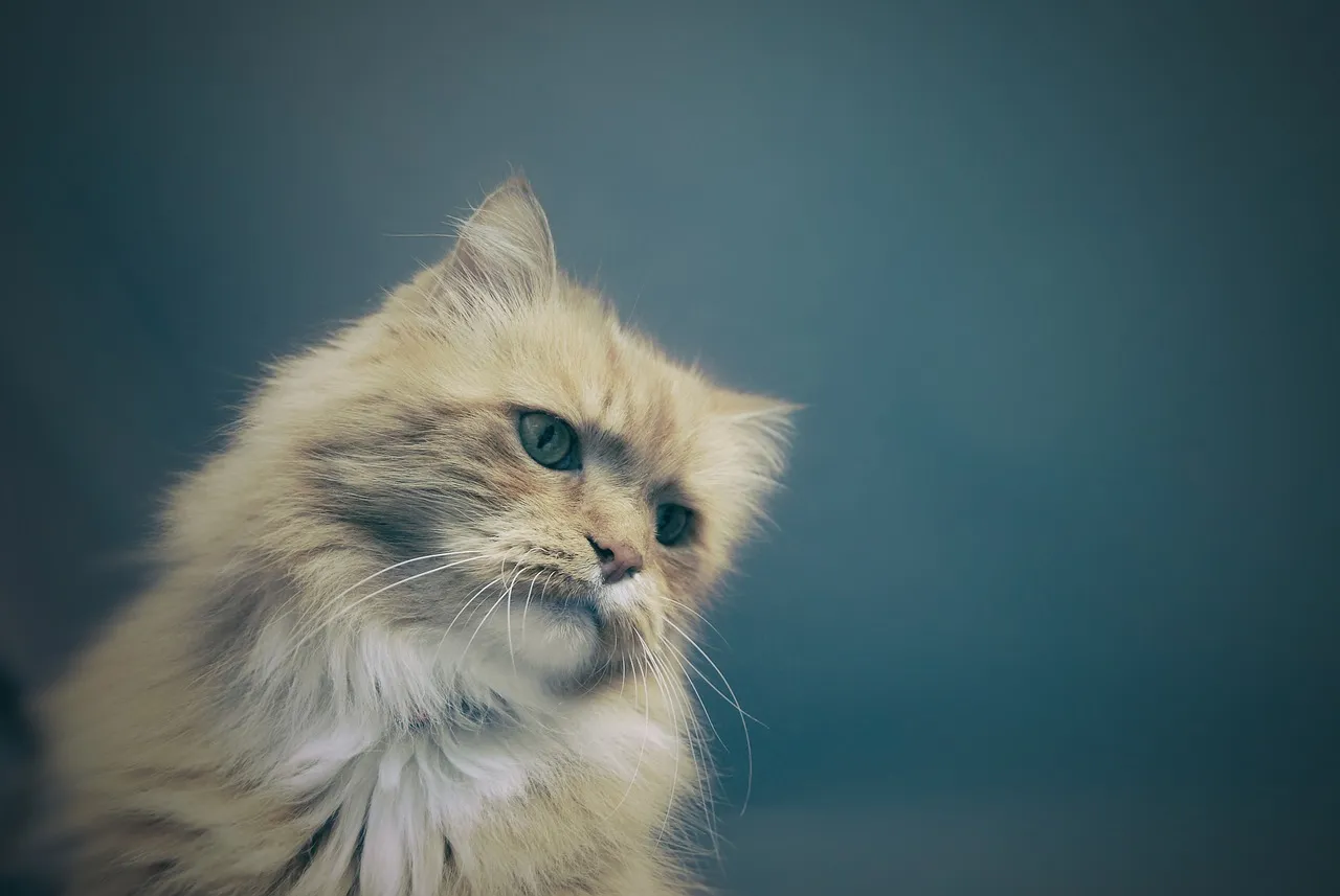 Humane Society of Utah