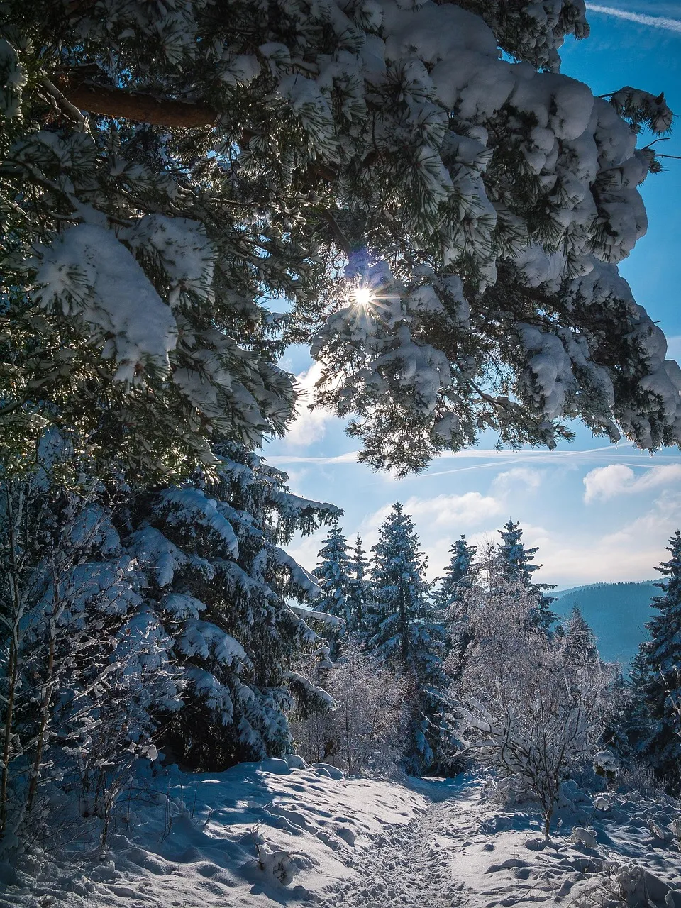 winter quote Pietro Aretino