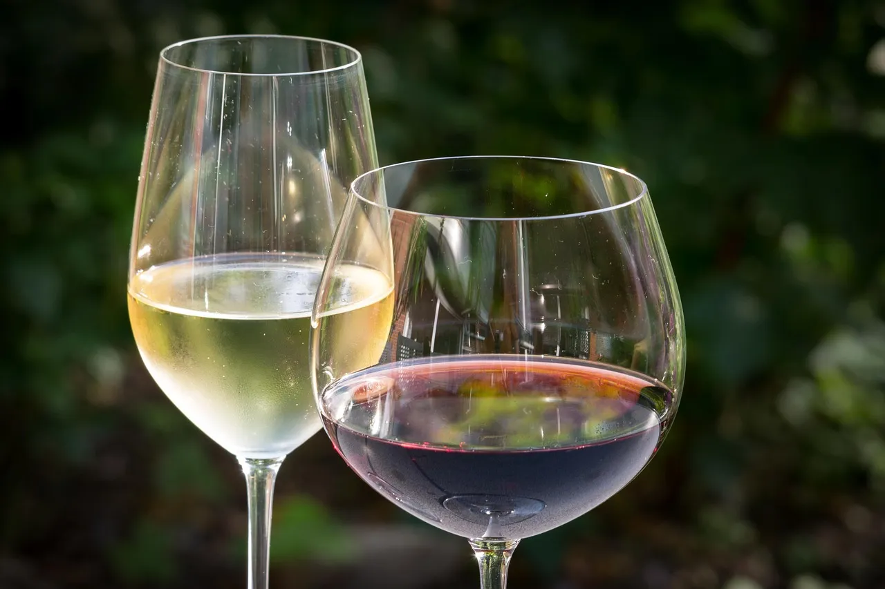 Women's Wine Hiking Society