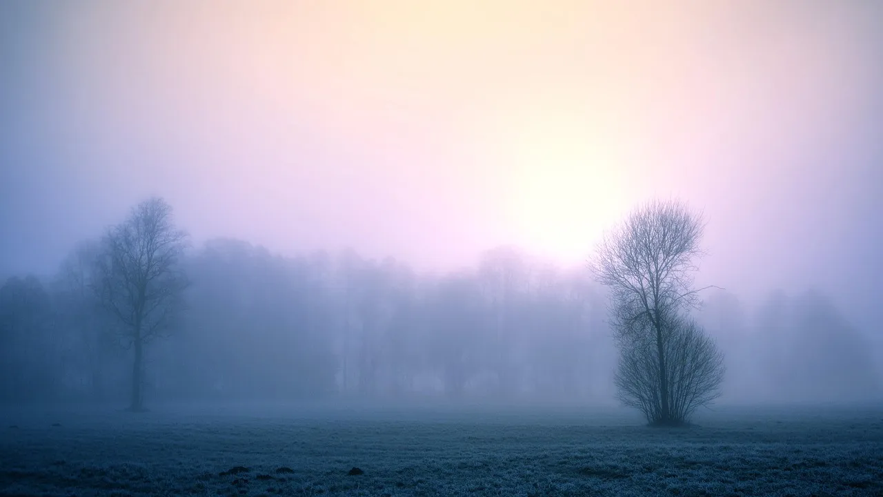 winter quote Katrina Mayer