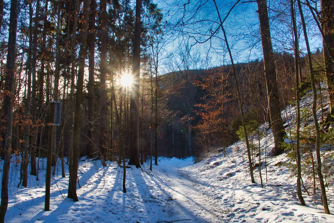 winter quote Aristotle