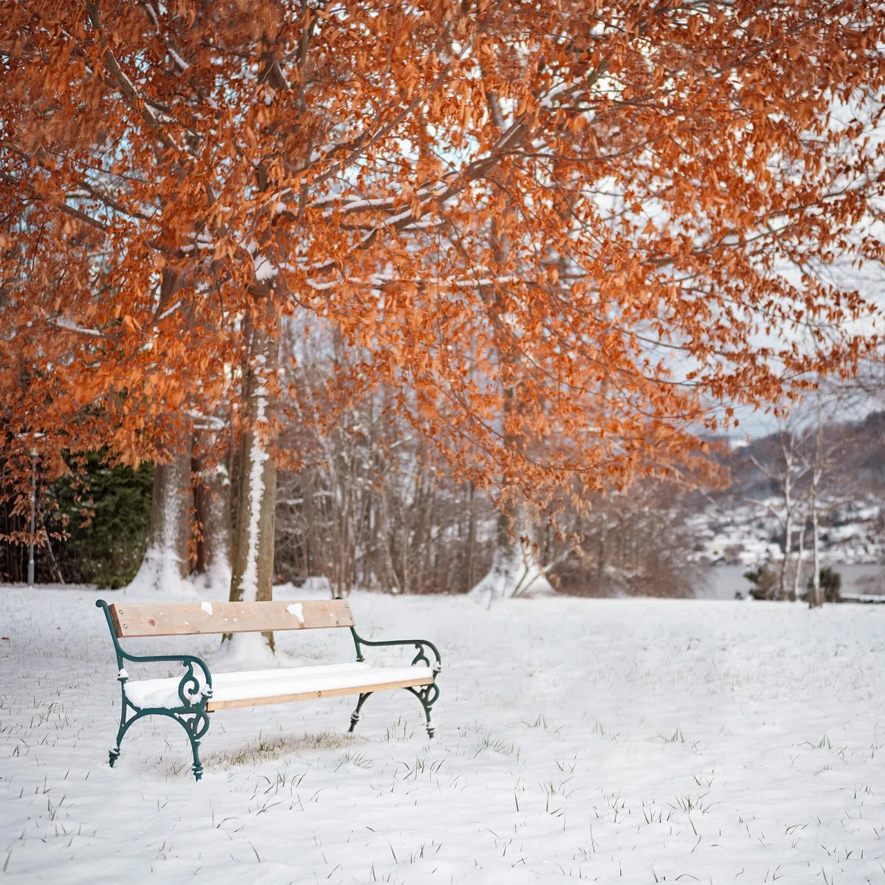 winter quote Edith Sitwell