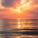 Feel-Good Friday